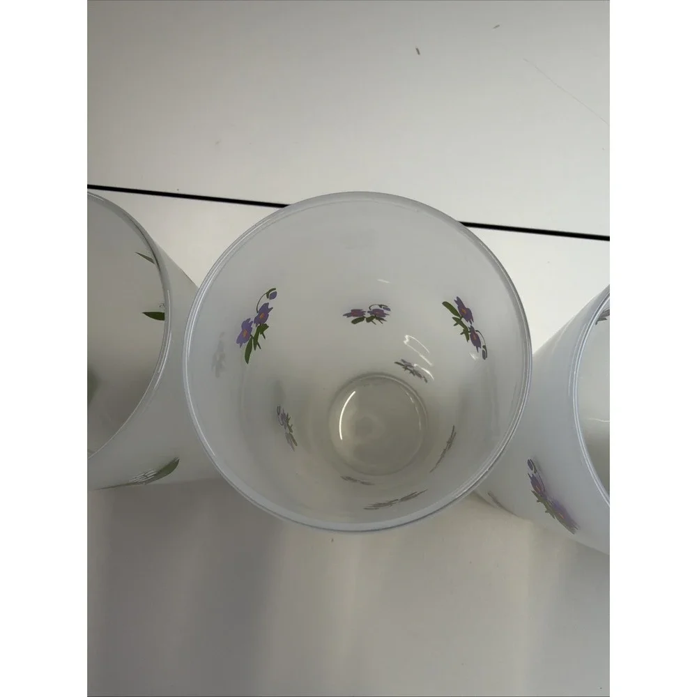 6 Dartington Designs Frosted Highball Glasses Spring Time Flowers Made In France
